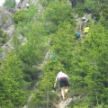 IMGP1736