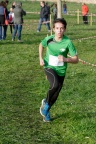 Papillotes 177
